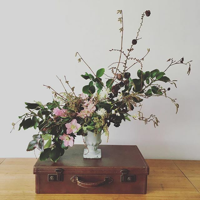 February 1st and the light is slowly returning, bringing the joy of new growth in the garden. My mind is thinking of all the beauty to come and my fingers are itching to start seed sowing, bringing it all to life. For now though, let’s enjoy what gorgeou… ift.tt/36JvnFz