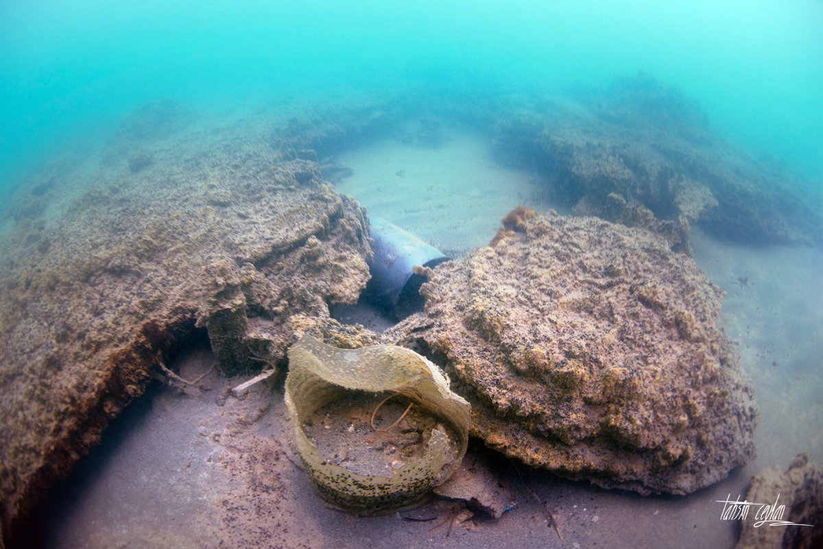 Binlerce yıldır, onlarca medeniyete ev sahipliği yapmış #Vangölü ‘ne suyun altından baktığımızda ne yazık ki insan kaynaklı ciddi bir kirlilik baskısı altında olduğunu görüyoruz. Doğaya karşı yapılan bu suça ortak olmayalım.Van Gölü’nü korumak onu kirletmemekle başlar.