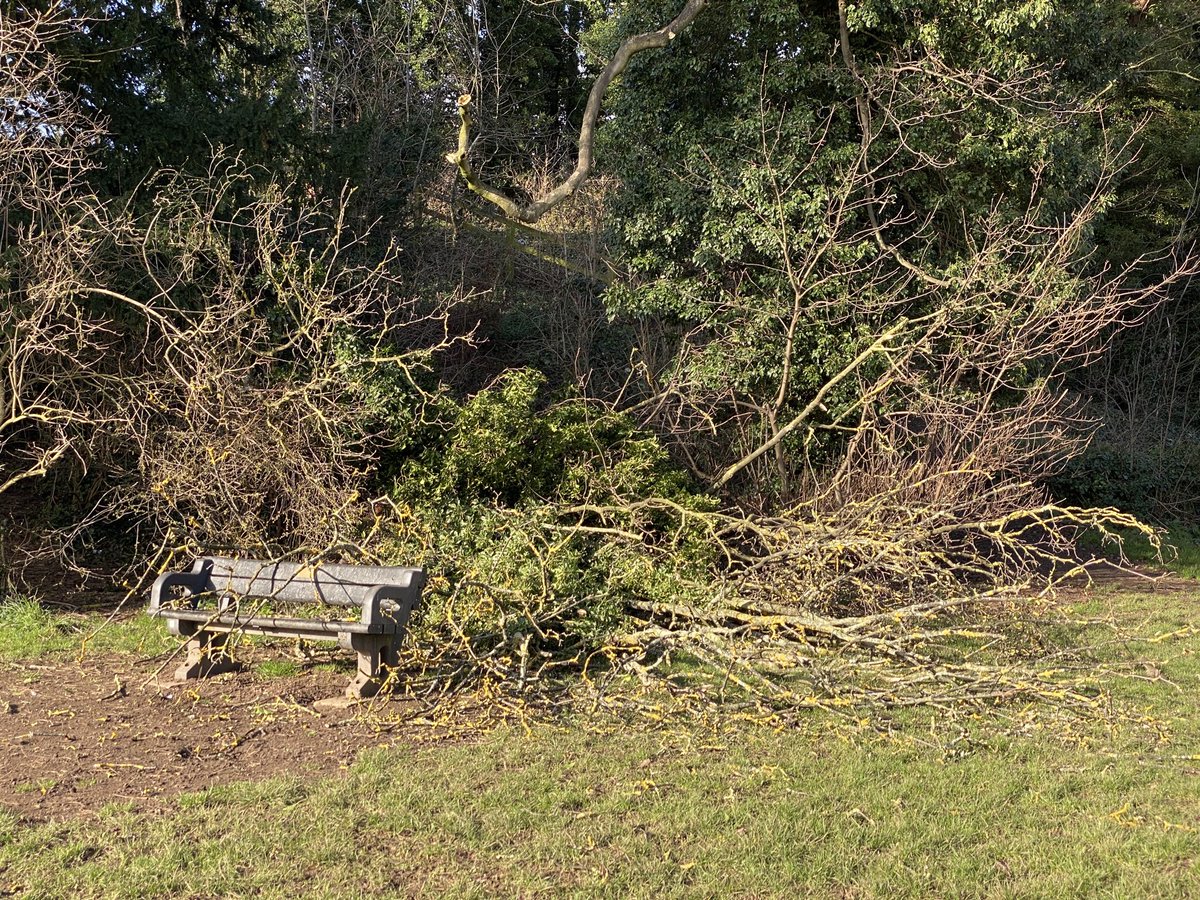 I was sat on that bench 5 mins before the tree came down!  ⁦<a href="/Rushcliffe/">Rushcliffe Borough Council</a>⁩ you have some tidying up to do in West Bridgford Park