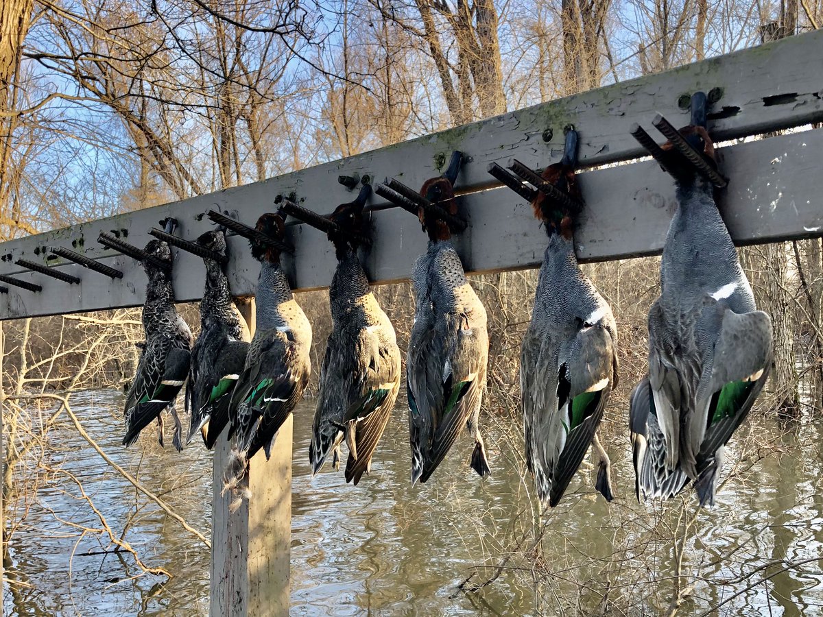 MayorJohnHolden's tweet photo. Good luck this morning to all of those participating in the Davis P. Rice Memorial Youth Waterfowl Hunt. Be safe, hope all have a great hunt and thank you to all of the sponsors and those that donated the use of their duck blinds for this event! @TNWildlifeFed #DPR2020 https://t.co/A7s4en7gTA