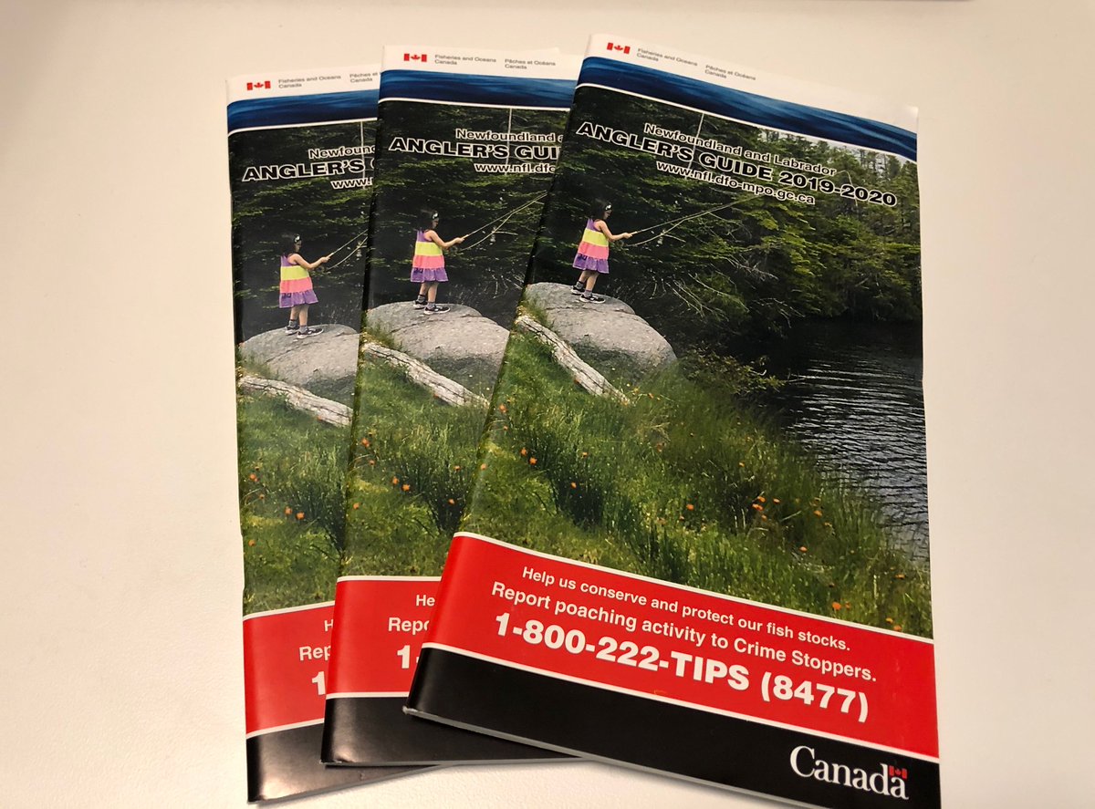 DFO_NL's tweet photo. It's Feb. 1 and #WinterAngling starts for insular Newfoundland & Labrador - except Zone 2! Get the details on daily bag and possession limits, and other things you need to know: https://t.co/ygCoJktGJQ https://t.co/4R4LgHpPuX