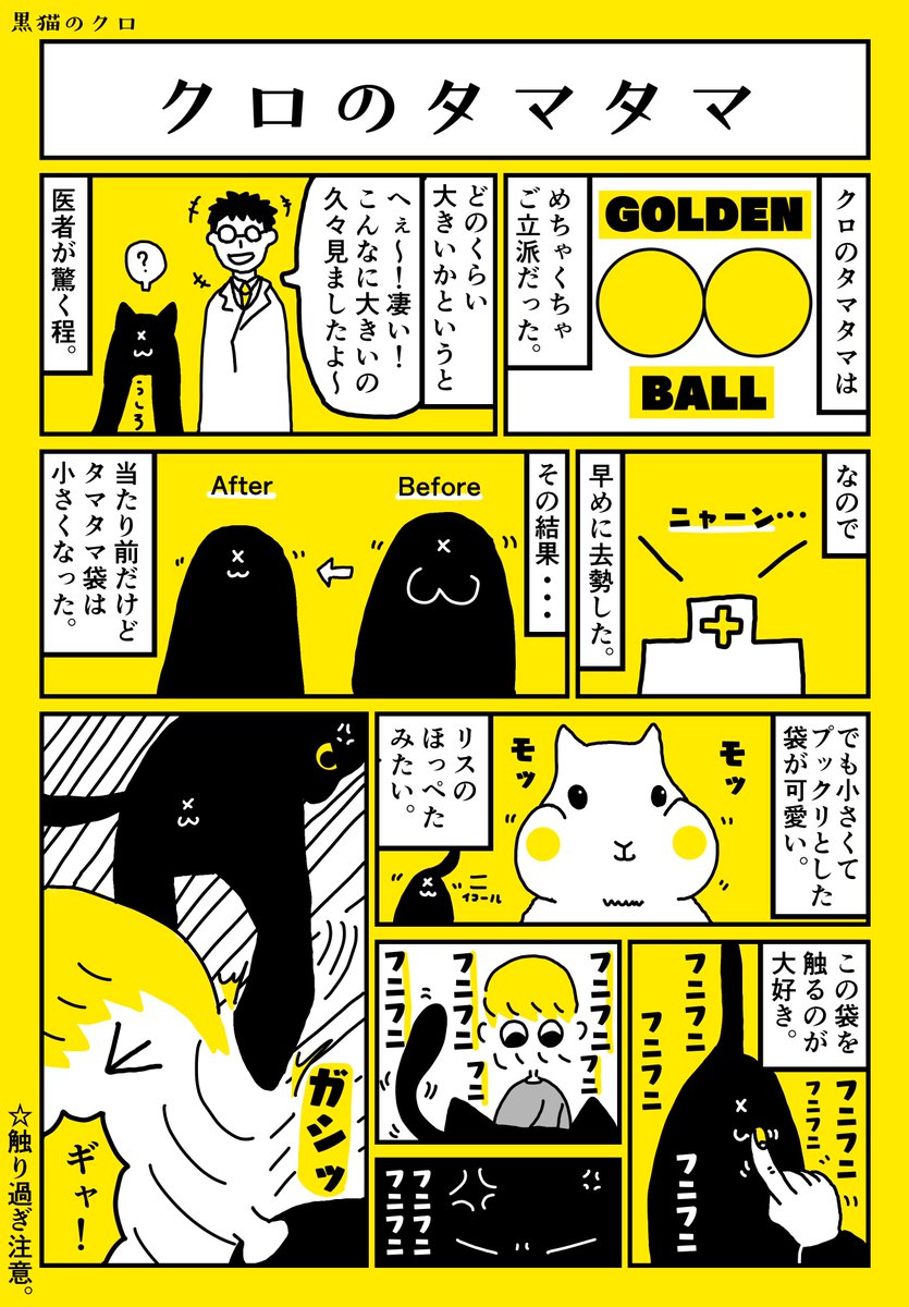 クロとタマタマ 
