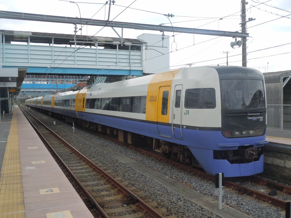 ろくいち 651系や253系 251系 51系といったjr東日本初期の特急たちは近年大きな動きがある中で255系だけ普通に活躍してるのなんか面白い話よね ろくいち 651系や253系 251系 51系といったjr東日本初期の特急たちは近年大きな動きがある中で255系だけ普通に活躍してるのなんか面白い話よね