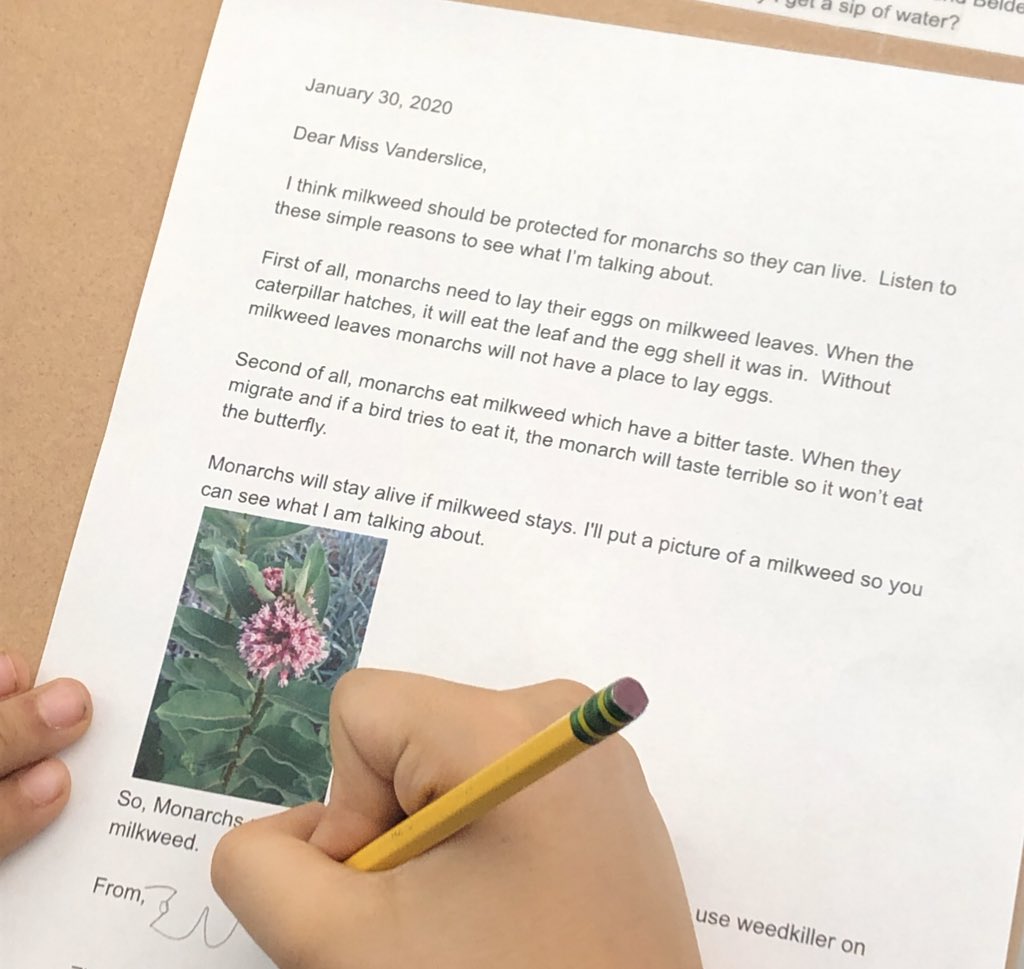 Ss working hard on their choice of a  #performancetask to help monarch butterflies. #creativity and #personalization were the stars of this #transdisciplinary work. Watch out world! <a href="/LoprestiMrs/">Elisse LoPresti</a> <a href="/fkompar/">Fran Kompar</a> @MissMason202 <a href="/mrsannielewis/">Annie Lewis</a> <a href="/WPSCMSocial/">CM Live</a> #wiltonwayct