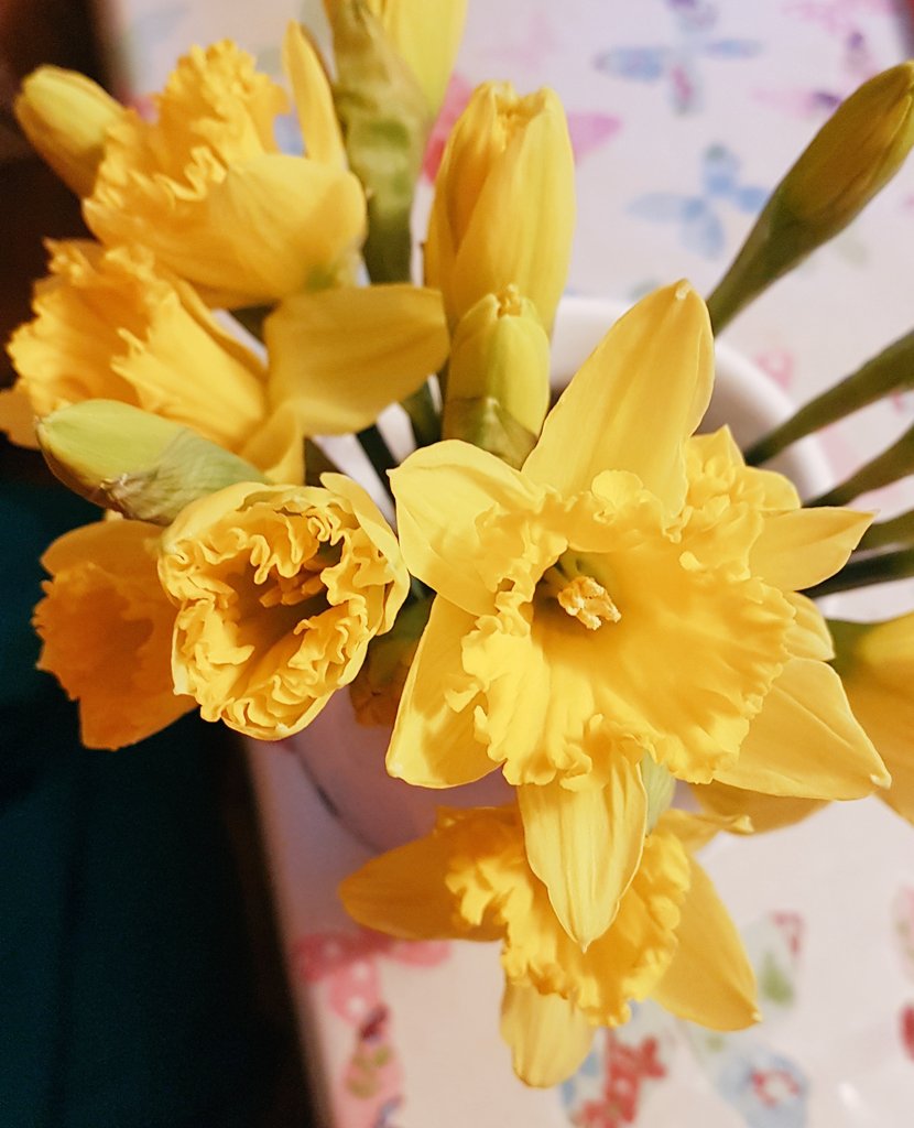 ShoeyMcShoe's tweet image. And so the Age of January 20 has ended. Who knows what historians will uncover in years to come from the aeons of time that have passed? #spring #celticspring #StBrigidsDay