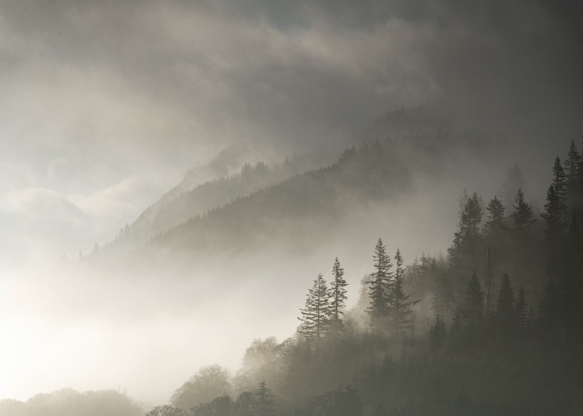 One from a gorgeous morning at Bassenthwaite Lake where the light, mist and mountains all aligned. <a href="/armathwaitehall/">Armathwaite Hall</a> <a href="/NikonProEurope/">Nikon Pro</a> <a href="/NPhotomag/">N-Photo</a> <a href="/LEEFilters/">LEE Filters</a> <a href="/georgefisheruk/">George Fisher UK</a> <a href="/keswickbootco/">Keswick boot co</a>