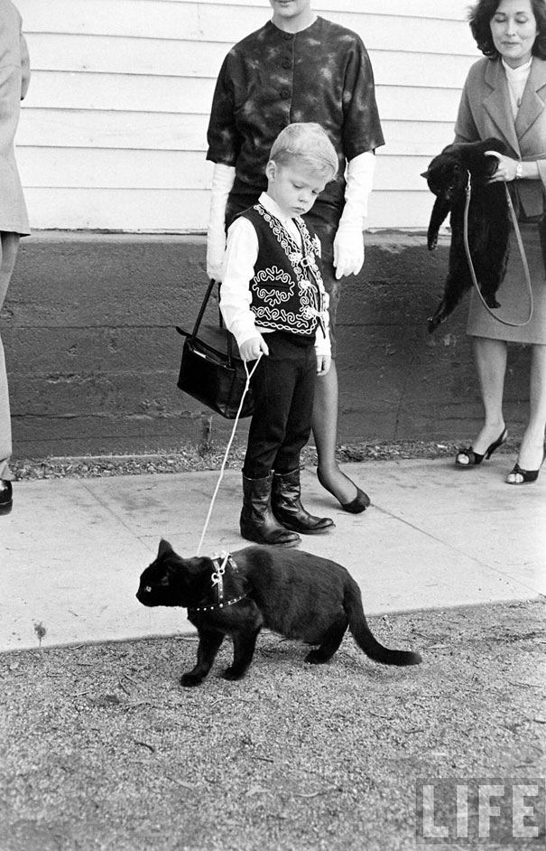 Black Cat Auditions in Hollywood (1961).