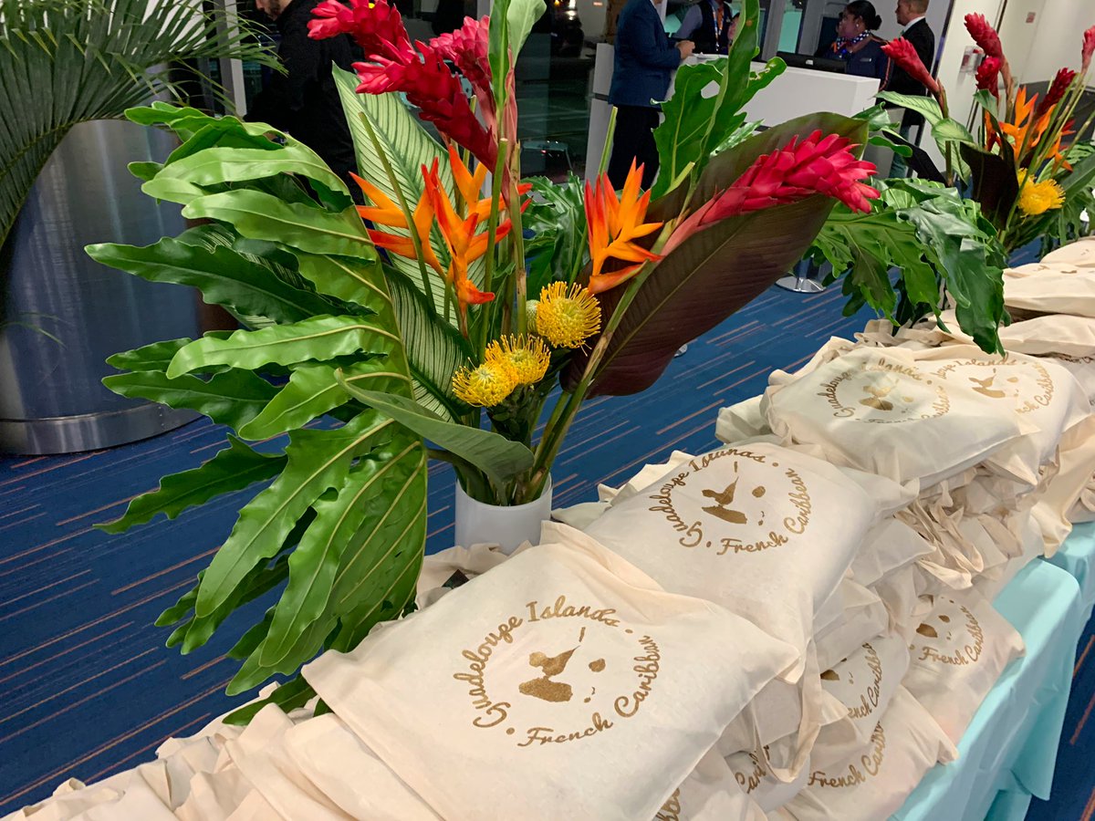 PhilipStewartNY's tweet photo. Bonjour from @JFKairport where we’re celebrating @JetBlue’s inaugural flight to @visitGuadeloupe! ✈️☀️🇫🇷 @HelloJetBlue #JetBluePTP https://t.co/wHstTQJcD1