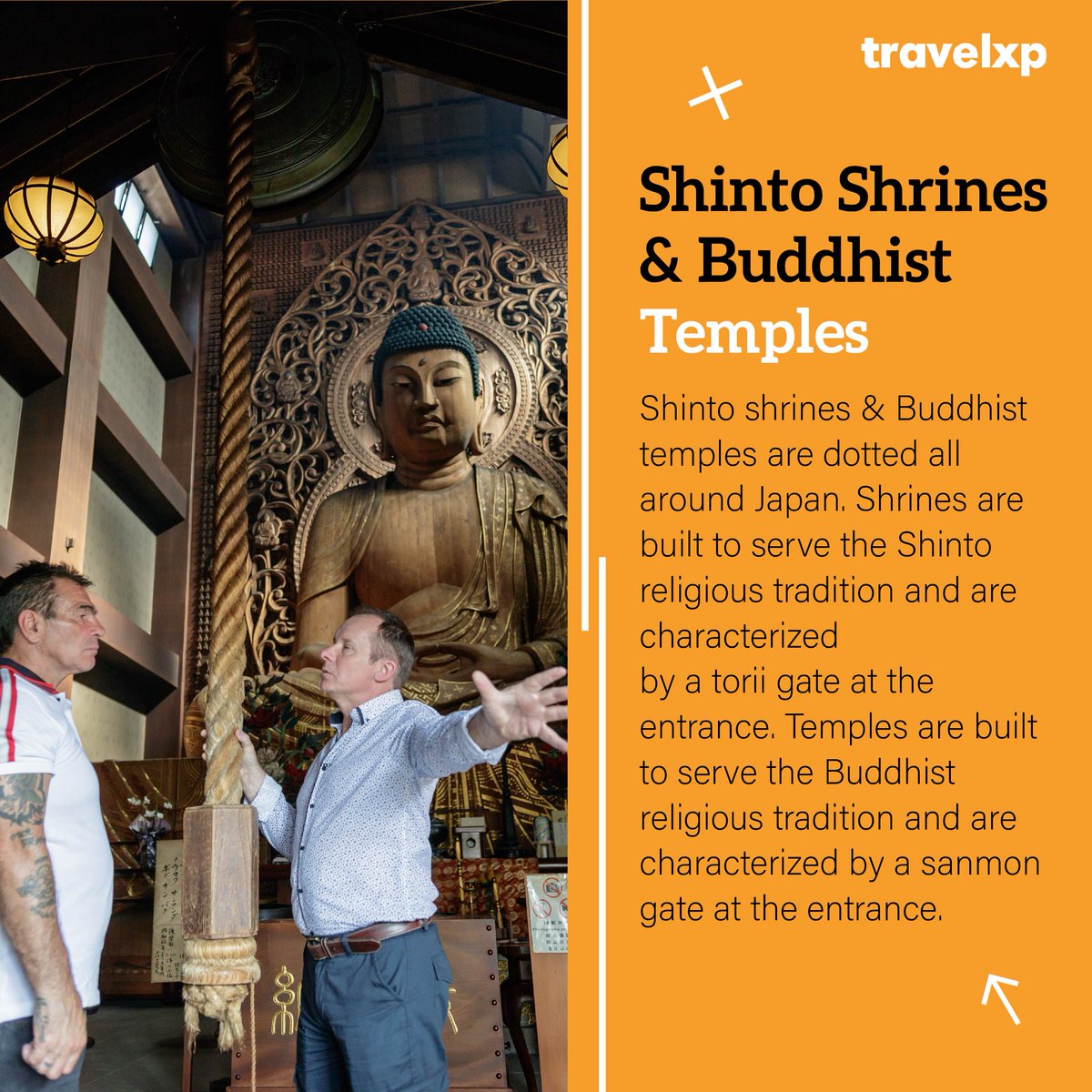 TravelxpUK's tweet photo. Why should Japan be on your Bucket List? 

Check out our reasons and tell us if you have more! 

#BucketList #Japan #Kyushu #DanielColl #PaddyDoherty #Travelxp #NewShow #VisitKyushu #Onsenislandkyushu #KyushuJapan #Rkbasia https://t.co/sR6xgQ6Yjt