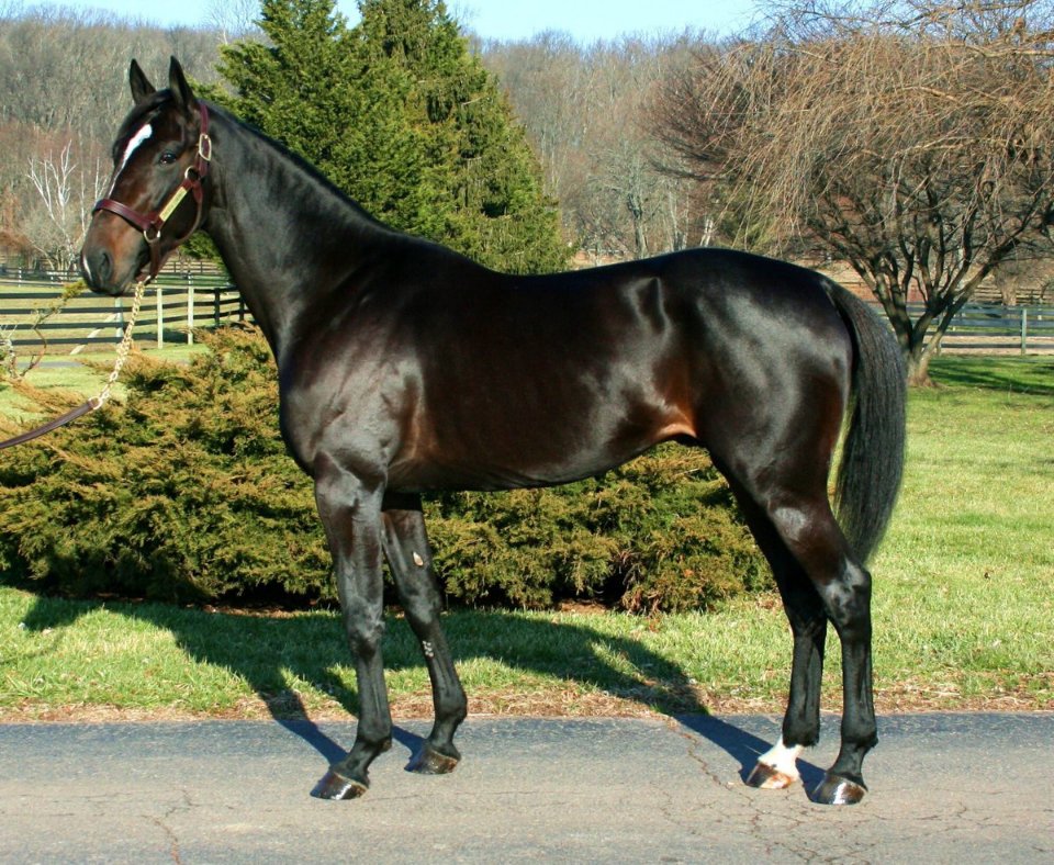 L'inTroKuptible tweet media