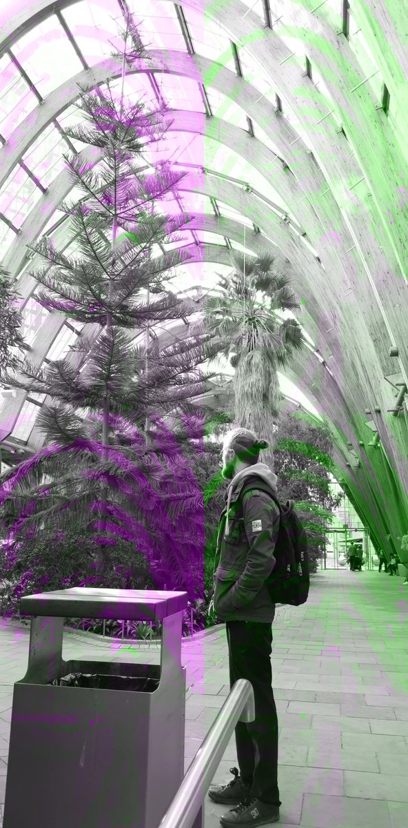 Accidental glitchy photo courtesy of my fiance <a href="/anniebatten/">ᗩ𝕟ภ𝔦Ẹ 乃Δ𝕋тє𝐍</a> #Sheffield