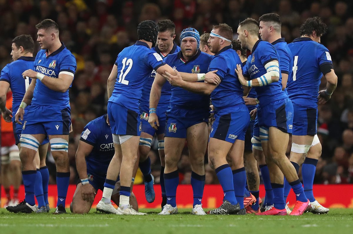 Zebre Parma 🦓 tweet media