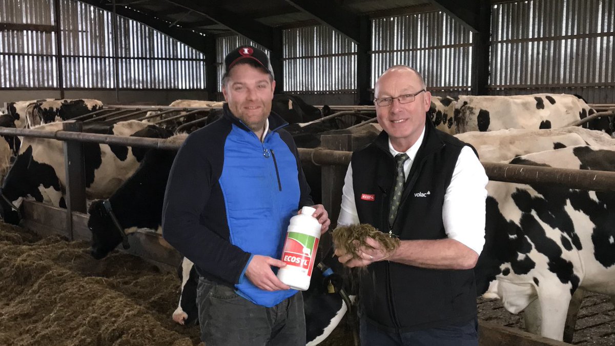 ecosyl_'s tweet photo. Silage Expert Ken Stroud is out on farm this week... "The cows are being fed Ecosyl (with added grass) at Johnny Matthew’s 250 cow farm, Donaghcloney, Dramore, N. Ireland." 🐮 😀 

#silage19 #ecosyl #consistentlybettersilage #farm365 #cows #dranmore #silageexpert #volac https://t.co/HCrZfSgi2P