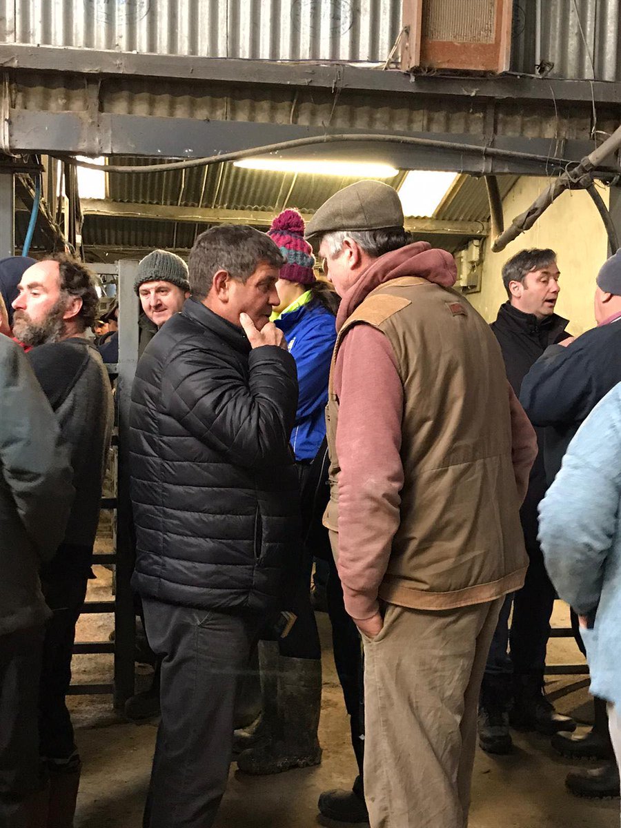 Great speaking to farmers at Carnew Mart this morning. 

Agriculture is the lifeblood of rural Ireland and we’ll do everything to support the continued growth of one of our most important sectors.  

#LookForward #GE2020 #Wicklow #farming #agriculture #teamwicklow