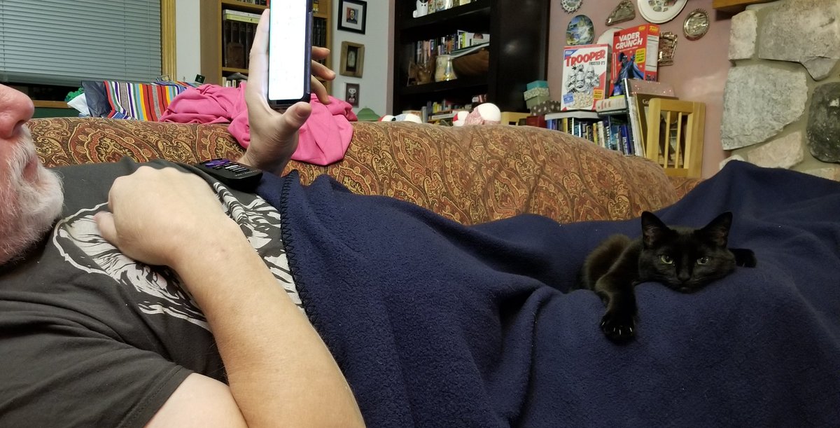 vintagepix's tweet photo. For your #Caturday morning entertainment: we had a wild Friday night taking photos of @yourevilcats while watching British celebrity quiz shows. #CatsOfTwitter #BlackCat #SpoiledCat https://t.co/i8lmZzCyGN