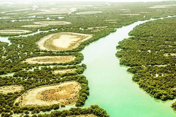 Hipersia's tweet photo. Qeshm Island tour
Visit the largest island in the Persian Gulf and also the largest non-independent island in the world.
see more: https://t.co/rNtcXvmeoN
#iran #qeshm #island #journey #travel #hipersia https://t.co/6cLIleGPPT