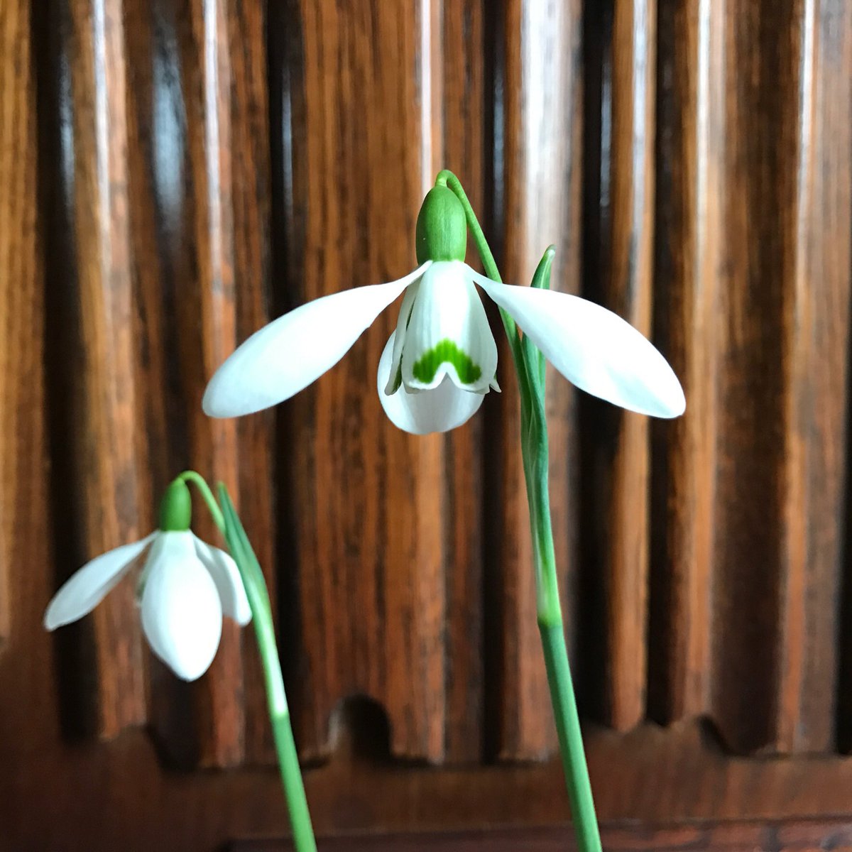 Kate Elliott tweet media