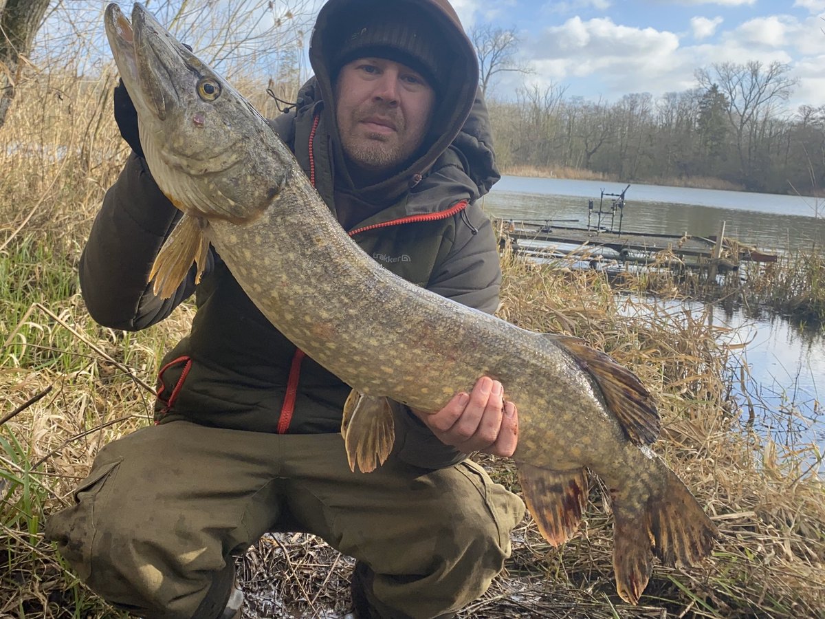 That’s what I came here for.