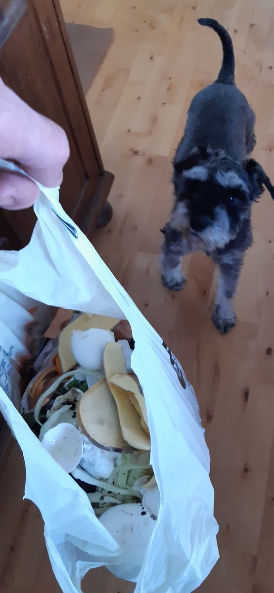 Bland í poka😛 Ætlarðu í alvöru að henda þessu?