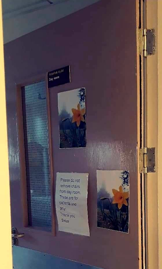 Mixie2588's tweet photo. Cadog ward staff and patients getting ready #comeonwales @RayaniMandy1 @bethanalys29 @HywelDdaHB @Hywelddavalues @ionaev @jamezy30 @HannahThomas81 @marilizePT @xxsicatxx @AllisonWms13 https://t.co/yNixdmUay8