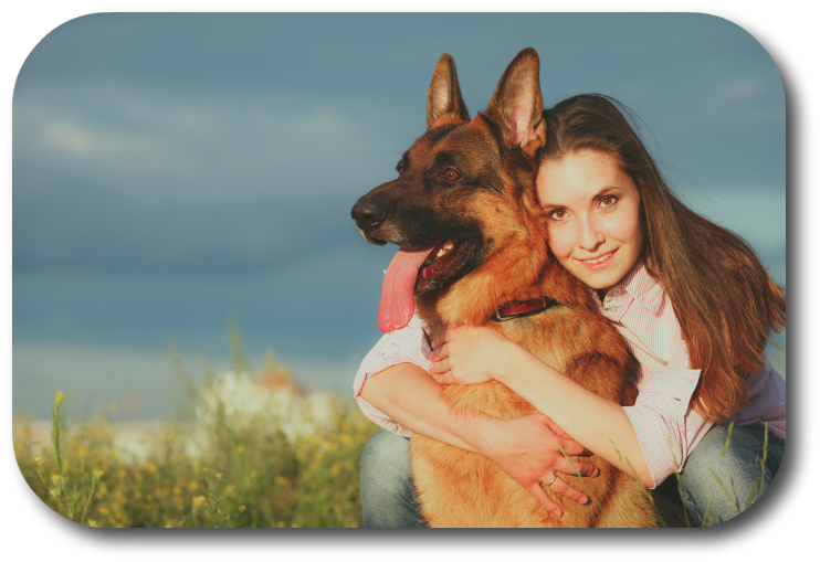 NoGaDogTraining's tweet photo. How Do I Get My Crazy Dog’s Attention? Your dog’s attention begins with your ability to have him respect you and give you focus. #dogtraining #dogtrainingnearme  https://t.co/WEigDgcC03 https://t.co/Lo9Pb97iSu