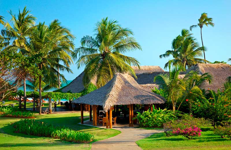 ResortsEnBrasil's tweet photo. Summer arrived!! ☀️🌴

Nada como disfrutar de la mejor época del año en el escenario perfecto de la Praia do Forte. 

Ven a conocer el Tivoli Ecoresort Praia do Forte Bahia Resort, no te arrepentirás! https://t.co/dLaYScNQzD