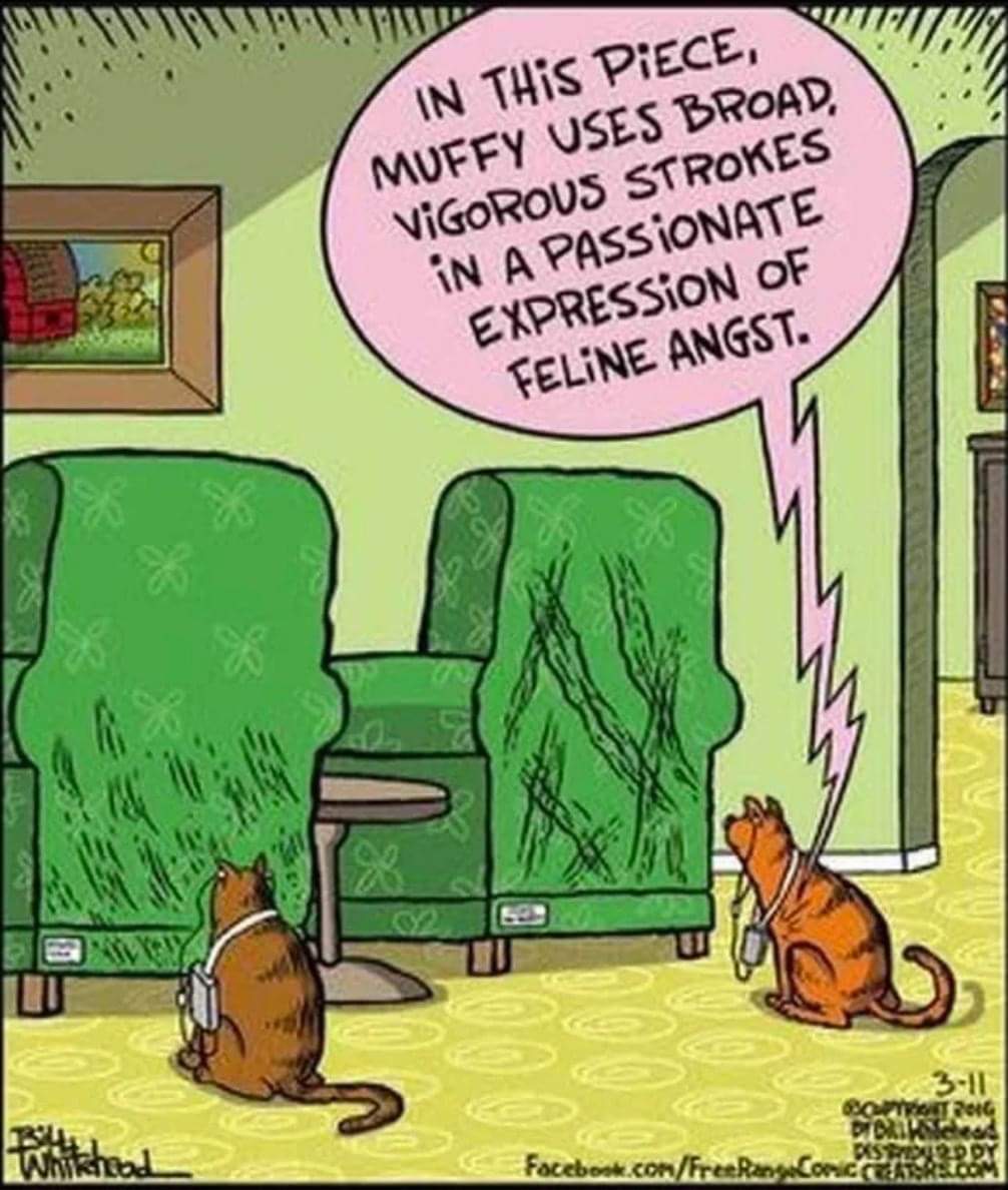 MuffinBeauchamp's tweet photo. Muffy would never. https://t.co/vr51YIHgyV