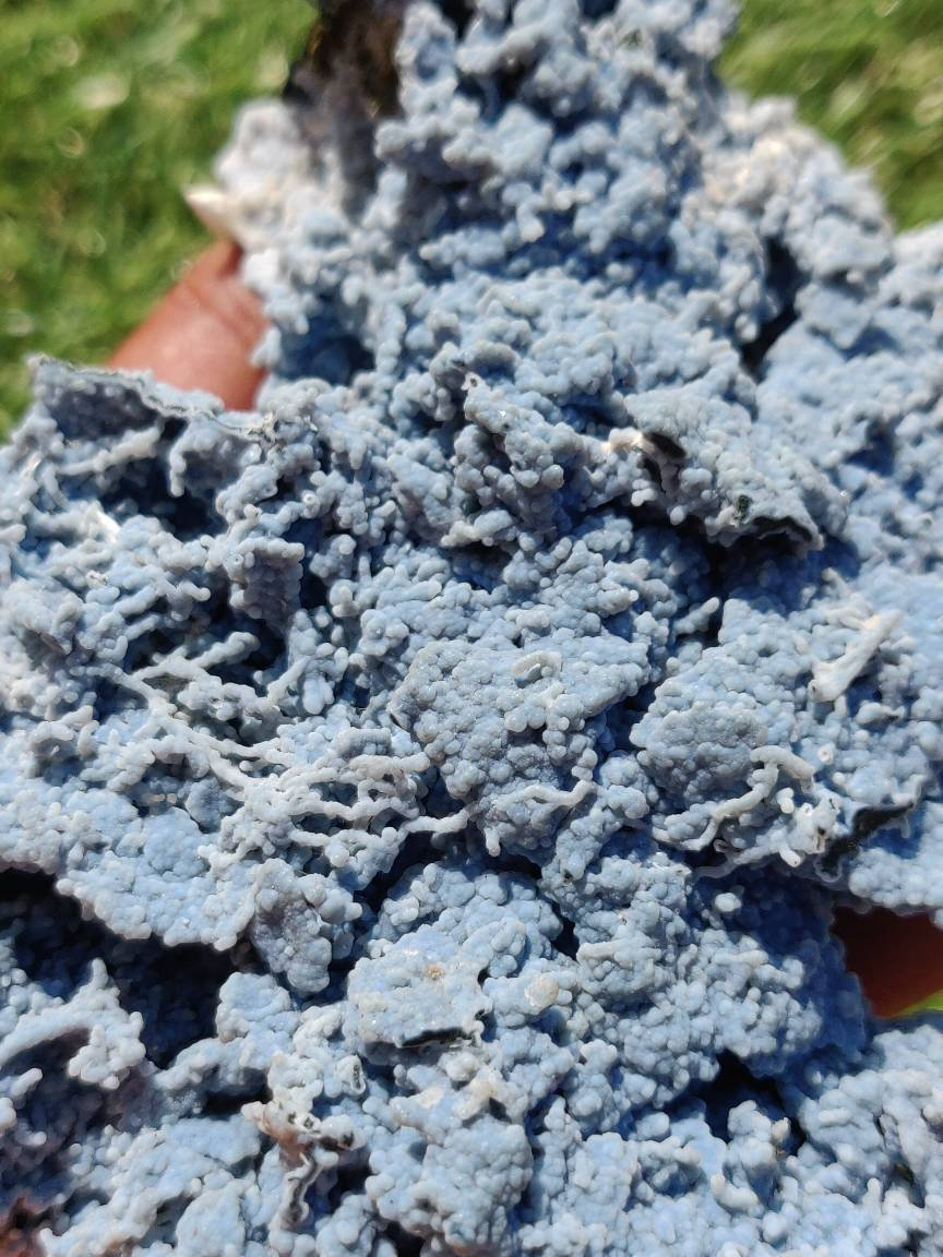 StoneCity4u's tweet photo. Excited to share the latest addition to my #etsy shop: Blue Chalcedony with Okenite Crystal Mineral Specimen From India Specimen Mineral Cluster 6.53 oz https://t.co/AgBVIsWtxD #everythingelse #religious #healing #natural #metaphysical #crystalcluster #crystal #epidot https://t.co/qzOEEPqzgb