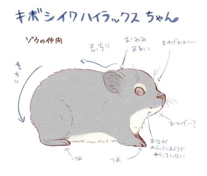 キボシイワハイラックスのtwitterイラスト検索結果