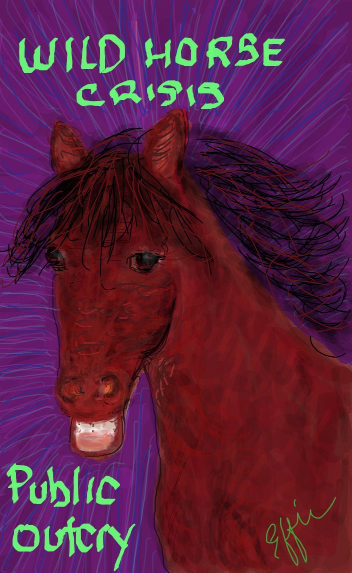 Anderhardt's tweet photo. Illustration @LavaEffies #MakesMeWantToScream #DailyReminderThatWildHorsesShouldBeRunningFree #MustangsMatter #StopTheRoundUps #AmericaCapturesShipsAndKillsWildHorsesAndIcare #IfYouDontStandUpForMustangsWhoWill @PeteButtigieg @JoeBiden @SenWarren @SenAmyKlobuchar @SenSanders https://t.co/y1azI6qYul