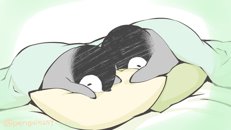 no humans animal focus penguin pillow bird closed eyes under covers  illustration images