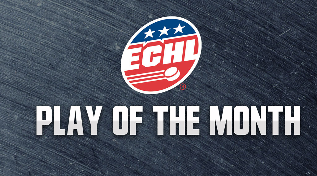 ECHL's tweet photo. The time has come to vote for the #ECHL Play of the Month for January. Cast your vote today at https://t.co/99xoALCXtp https://t.co/9CHOREnL7R