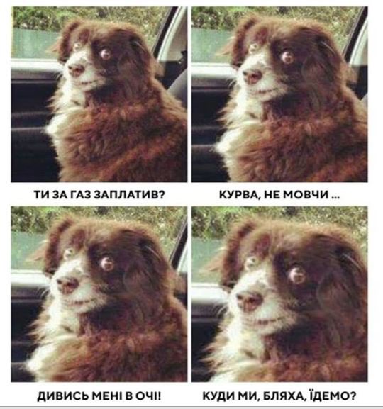 gt_lotrz's tweet photo. Ну вы же хотели https://t.co/XJg9CHpyRX