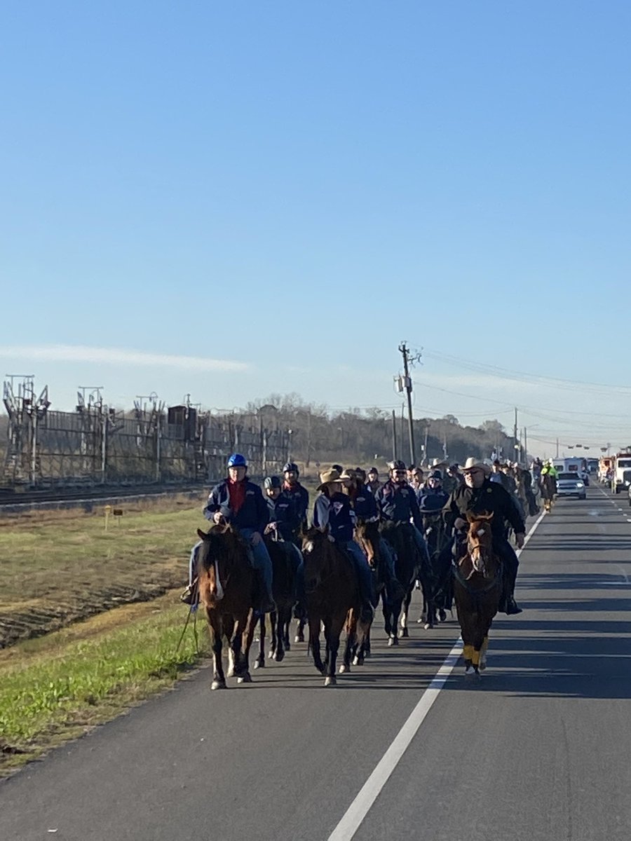 trailtozero's tweet photo. @abc13houston  Trail to Zero Houston! 20 miles to raise for the 20 veterans who we lose to suicide everyday and offer a solution through horses 7 military veterans from BraveHearts, 1 Gold Star Father, @houstonpolice and 16 members of the public have joined.   #trailtozero https://t.co/344nLnXIBF