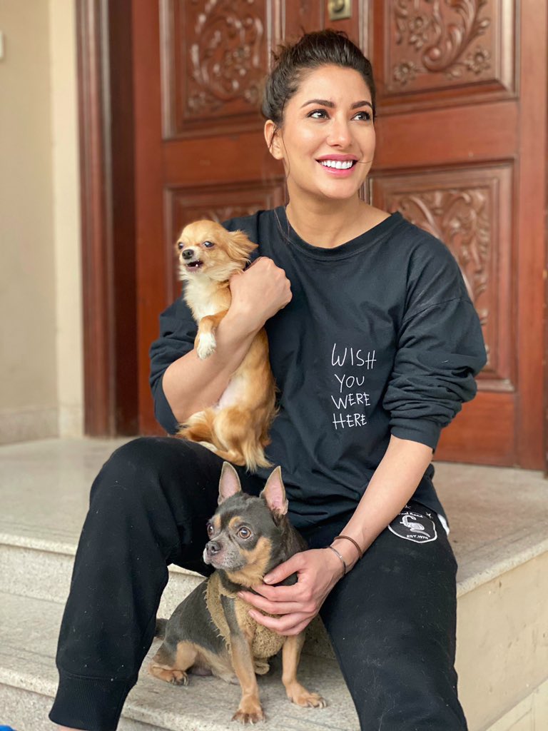 MehwishHayat's tweet photo. Aaja k abhi zabt ka mausam nahi guzra ..
Aaja k pahaaron pe abhi barf jami hai ..
Khushboo ke jazeeron se sitaaron ki hadon tak,
Iss sheher mein sab kuch hai, bass.. ik teri kami hai !  #Wishyouwerehere https://t.co/b5De9Zk6Ip