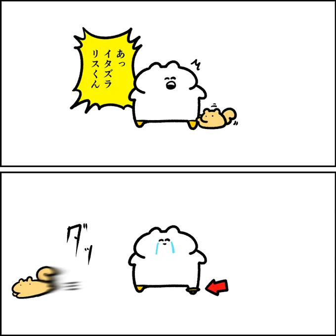 靴下をコロコロされてしまう 