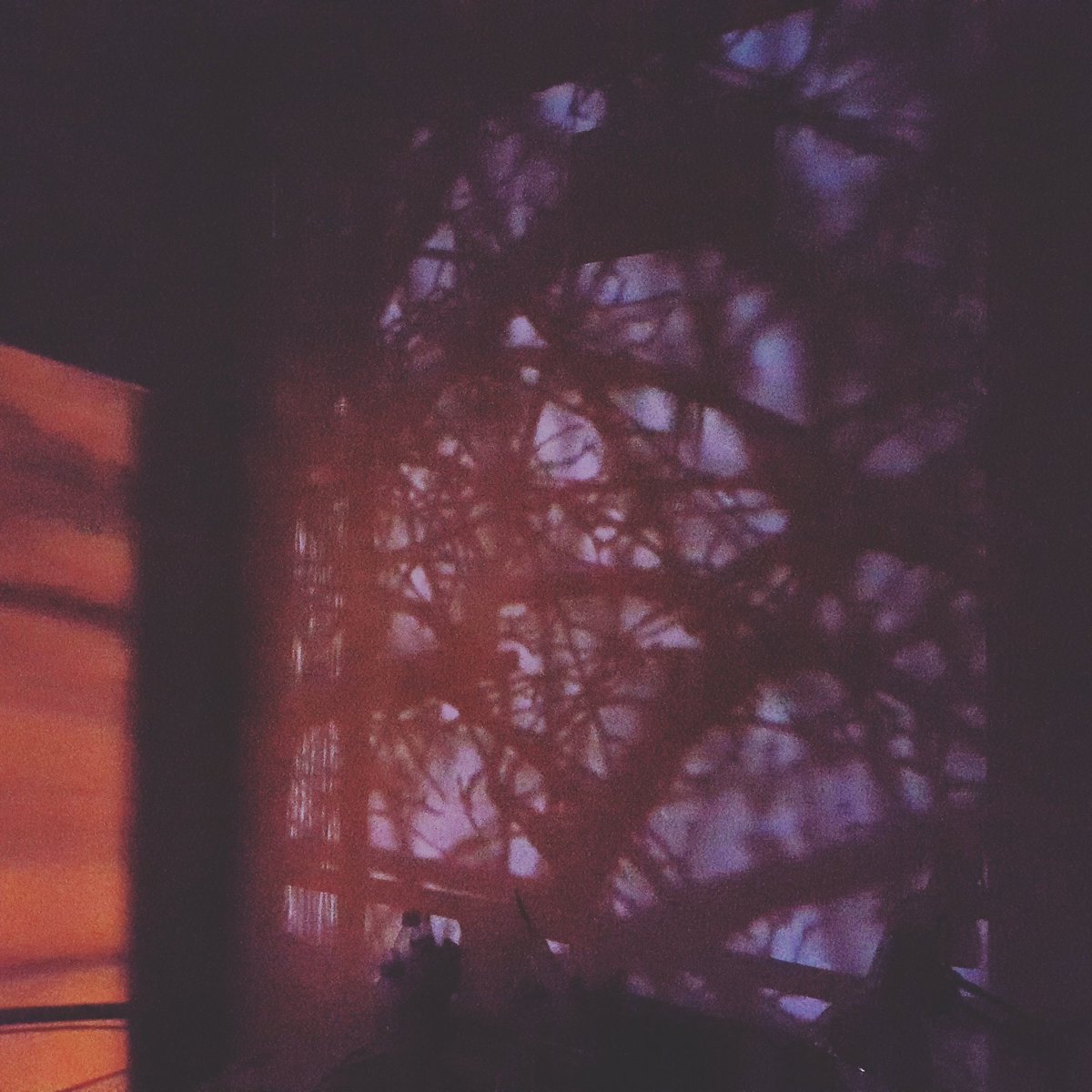 Citizen Erased tweet media