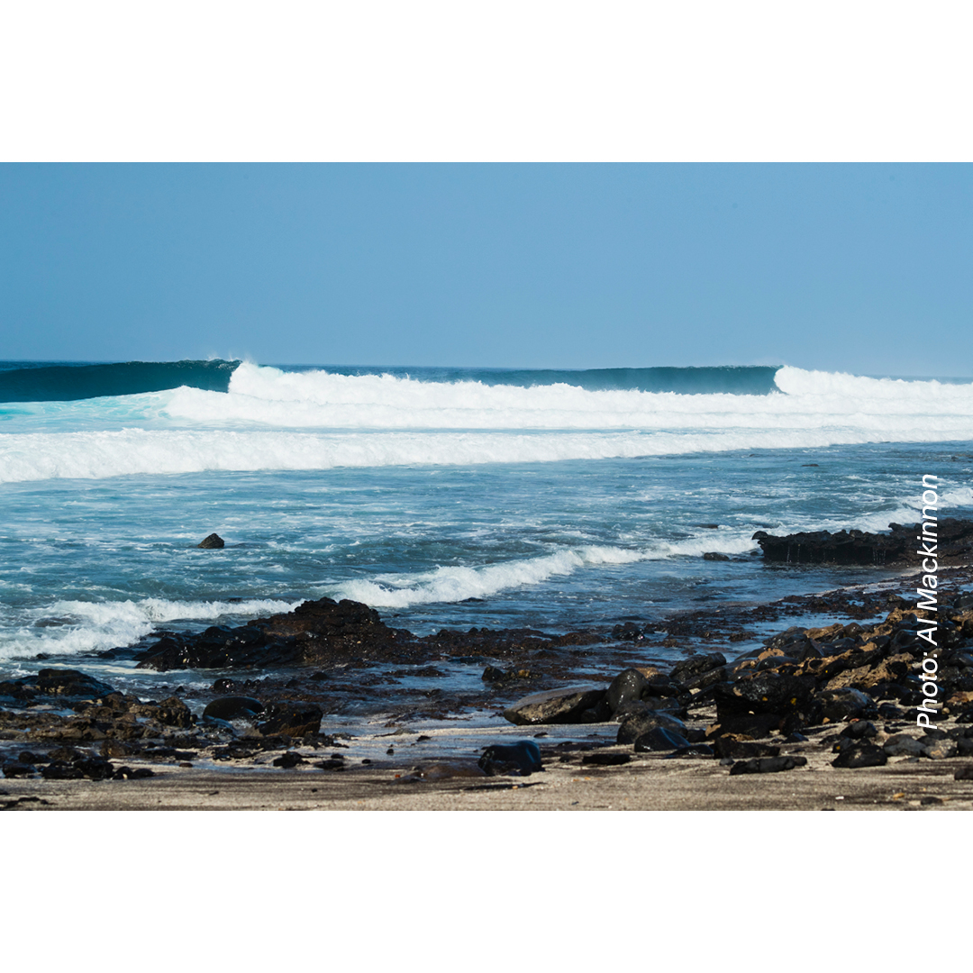 SurfersJournal's tweet photo. Hit the link in bio to get your copy of the new issue today. https://t.co/Cq3uVYJCHv