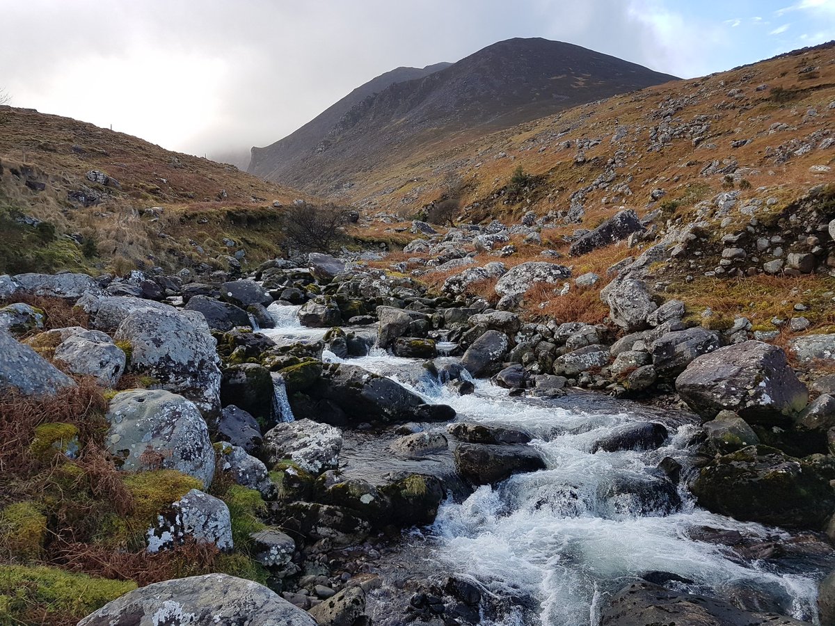 lizlimerick1's tweet photo. Great to be back on #DaMountains; up & down the #Devilsladder up on our hands & knees & down on our backsides😊😊 #Carrantowhil Ireland's highest mountain #CoKerry ##Friends #Greatoutdoors #beautifulcountry 🇮🇪🇮🇪 #Limerickabu 🇳🇬💚 https://t.co/M7cUlPHkQF