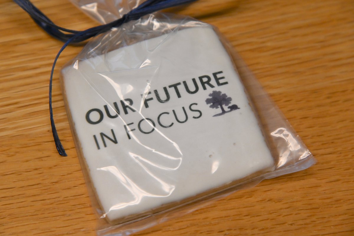 Shore Country Day School tweet media