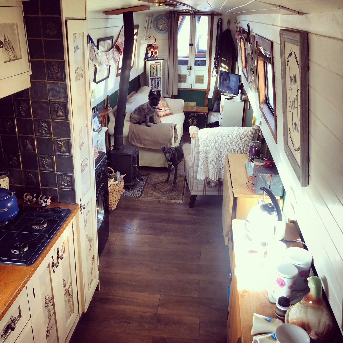 Living_Narrow's tweet photo. Isn’t it amazing what a bit of sunlight through the portholes can do to improve the mood 🌷😍 particularly after what feels like 87 years of rain 🙄 #countdowntospring https://t.co/CI4P4jJrsU
