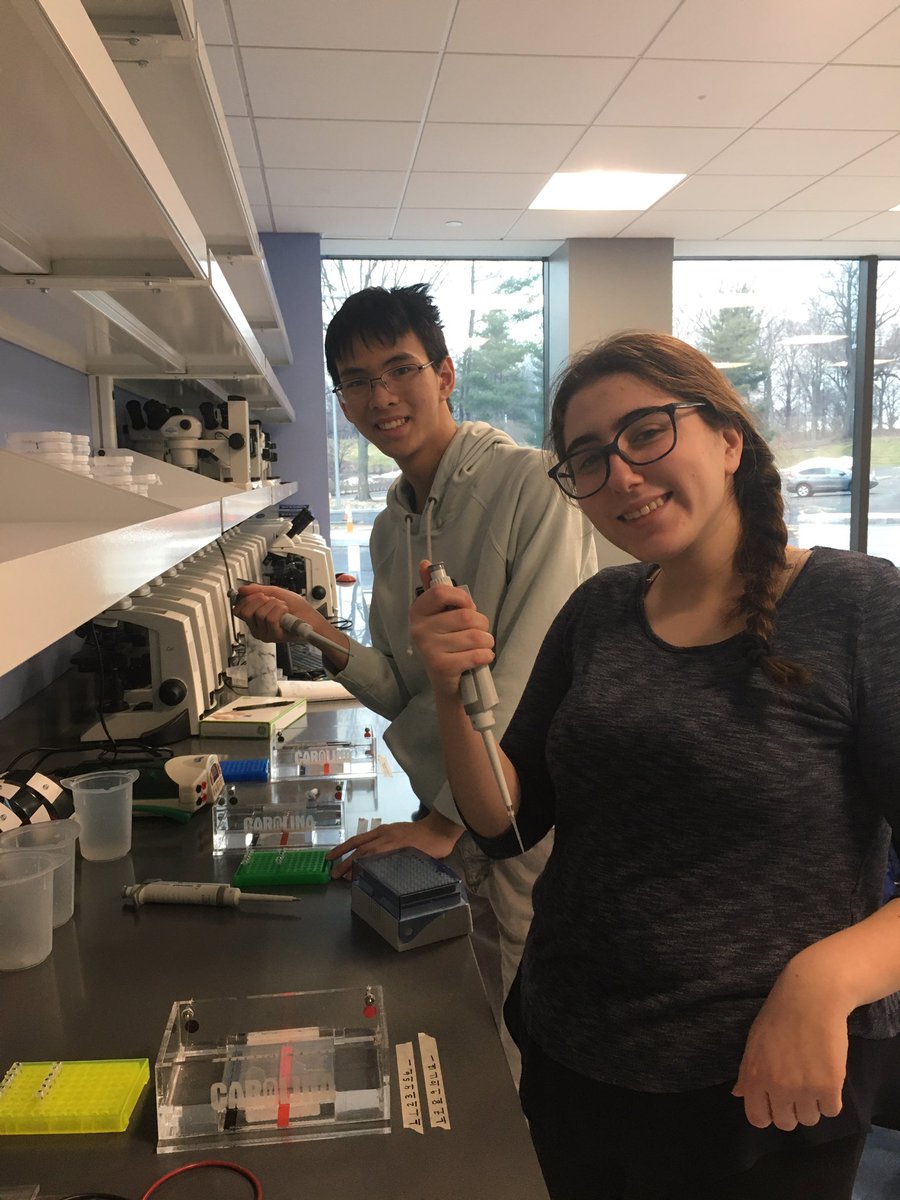 SciResearchAHS's tweet photo. Thank you Regeneron DNA Learning Center &amp; Urban Barcode Project for hosting Open Lab Session. Olivia Shpak and Jon Tang extracting DNA for their study of Vine Removal along the Saw Mill River. https://t.co/JDzGhAF5Xo