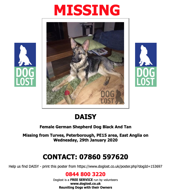 DogLostUK's tweet photo. https://t.co/jt1sXwNKjV
#LOST #DOG DAISY
Female #GermanShepherd Dog
#Missing from #Turves, #Peterborough #PE15
Wednesday, 29th January 2020
#LostDog #ScanMe https://t.co/bNBHUKYZ98 @VetsGetScanning @SAMPAuk_ @SarahP2311 https://t.co/aJVopRibjX