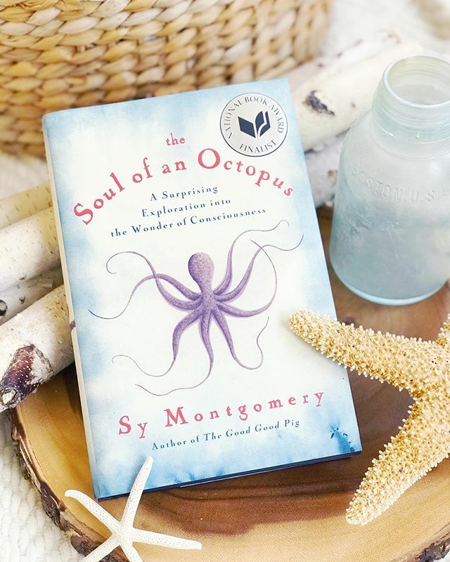 Bookerdashed's tweet photo. The Soul of an Octopus is the must charming non-fiction book I’ve read in ages. Highly recommend! 
#thesoulofanoctopus #symontgomery #bookish #amreading #igreads #bookphoto #mybookfeatures https://t.co/DjBQvY8OhX https://t.co/XYt8YOowvd