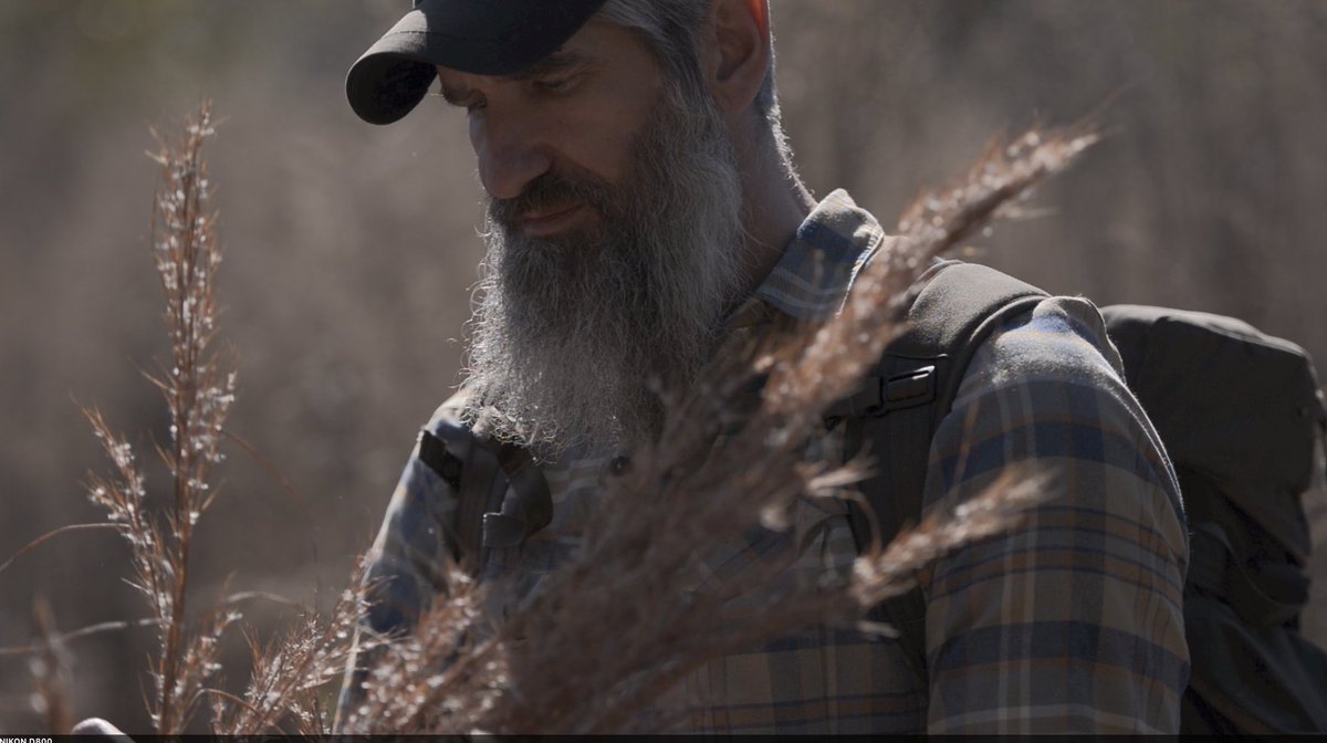 GB2_Survival's tweet image. "Broomsedge" (Andropogon virginicus) is an often overlooked resource in the United States. Chances are you have it in your area. Outstanding for #firetinder. This shot is from my new film with @Survival_Summit coming soon!