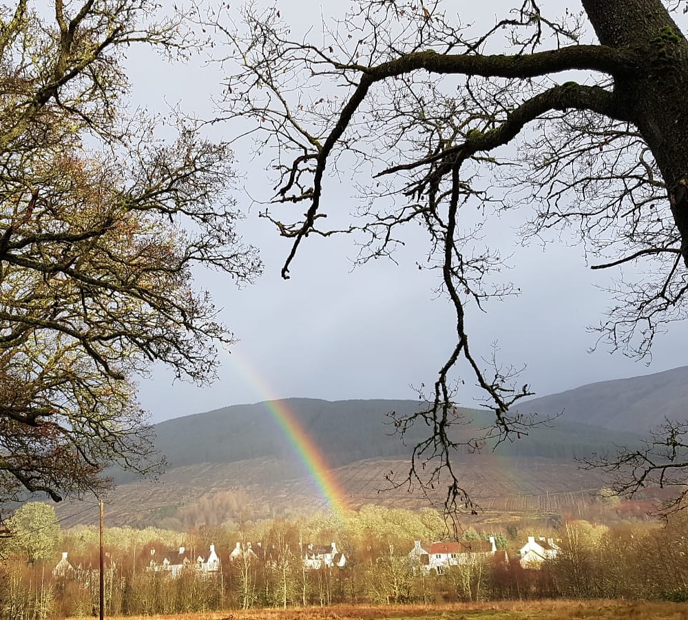 outdoorsforyou2's tweet image. Fantastic 10k trial running this morning at #Kinlochard. We will have some upcoming trial running events soon. #trialrunning #nature 
#RecconctingPeopleAndNature