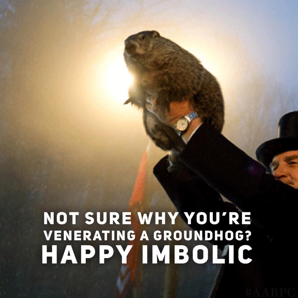 AARPC_Official's tweet photo. Happy Imbolic! It’s mid mid-winter! Sort-of! #imbolic #groundhogs #ewes #party https://t.co/vYAdME5pUt https://t.co/wPAOHYULqE