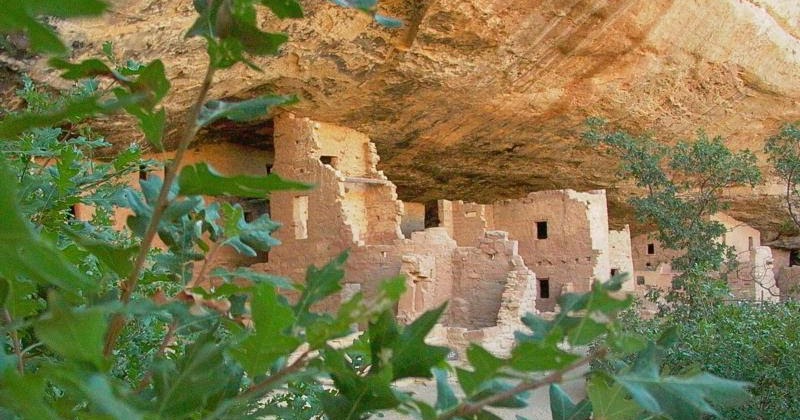 Day Hiking Trails tweet media