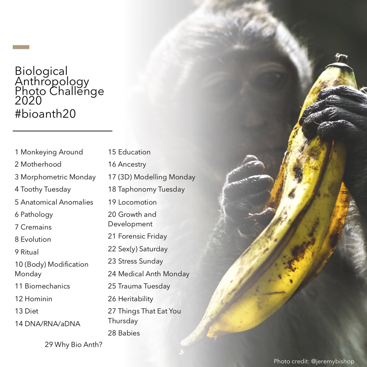 AnthroNfj's tweet photo. The #archaeology31 challenge was so much fun we decided to take a lead from @kimbiddulph and do a Biological Anthropology February photo challenge Who’s in?! #bioanth20 #nfja https://t.co/geT2o3yjPG