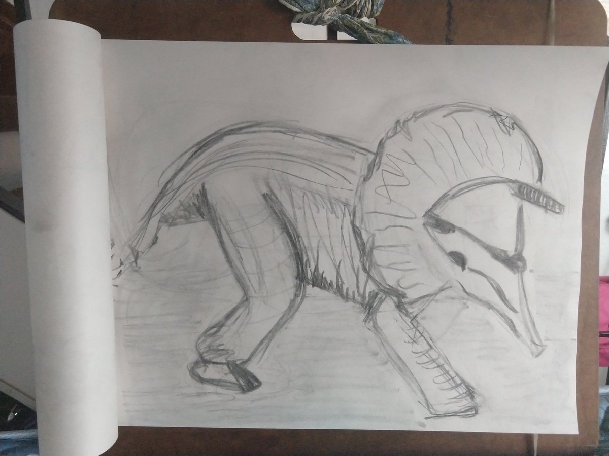 Drawing of a triceratops